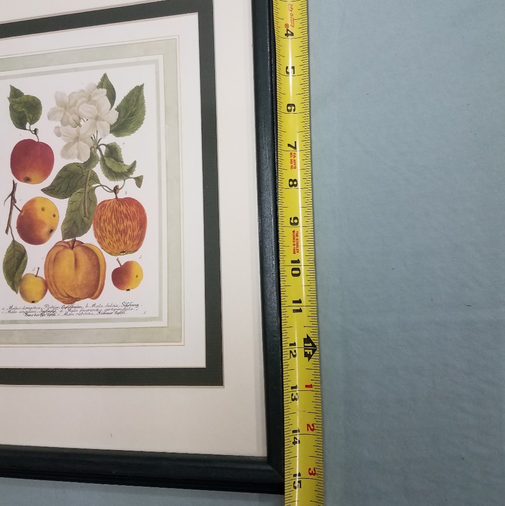 Apple Print - Picture 5 of 6